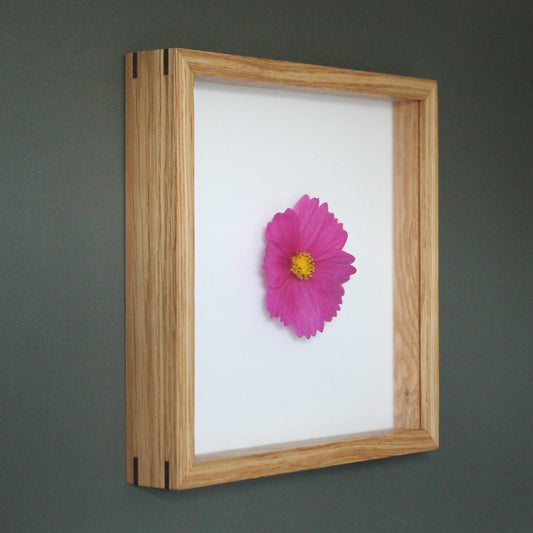 Shadowbox Frame - 3/4" Display Depth - White Oak